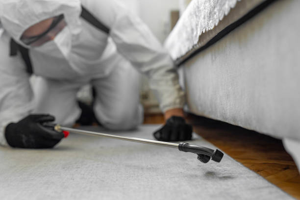 Professional Cockroach Control technician working in Waverly, IA
