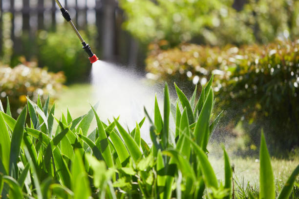 24/7 Emergency Cockroach Control experts in Waverly, IA