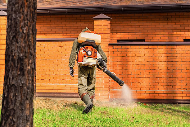 Trusted Cockroach Control service in Waverly, IA - Nex Pest Control